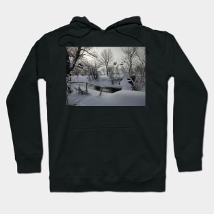 Winter on the river Hoodie